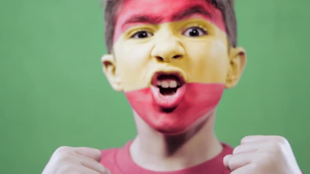 Abanico Español Celebrando Gol — Vídeos de Stock