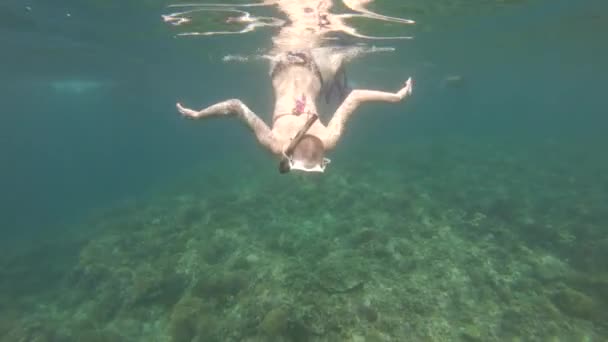 Una Bella Donna Con Capelli Corti Che Snorkeling Una Barriera — Video Stock