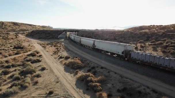 Filmagem Câmara Lenta Comboio Passar — Vídeo de Stock