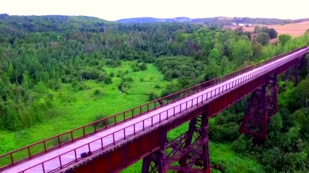 Высокий Пешеходный Мост Через Большой Живописный Ландшафт — стоковое видео