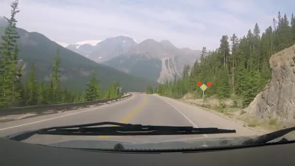 Icefields Parkway Jasper National Park Driving Stutfield Picnic Area — Stock Video