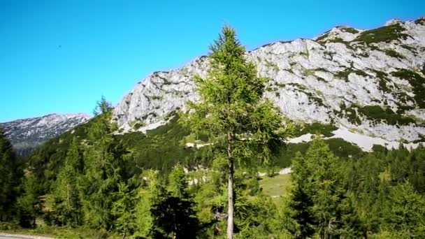 Panning Shot Mountain Austria — Stock video
