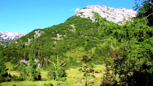 Mountain Lake Στην Αυστρία — Αρχείο Βίντεο