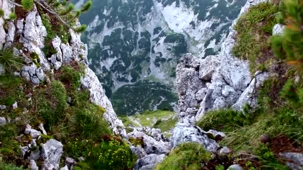 Άποψη Από Ένα Βουνό Στην Αυστρία — Αρχείο Βίντεο