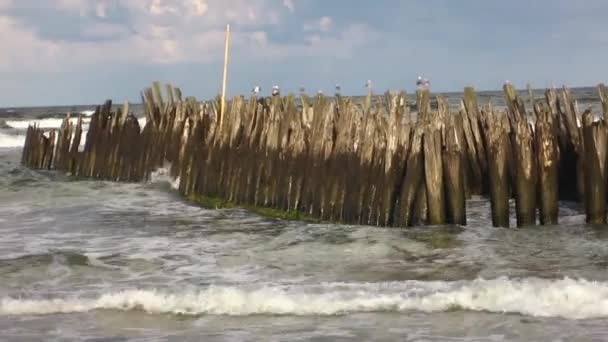 Zničené Staré Dřevěné Molo Vlny — Stock video