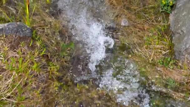 Movimiento Lento Una Pequeña Fuente Montaña — Vídeos de Stock