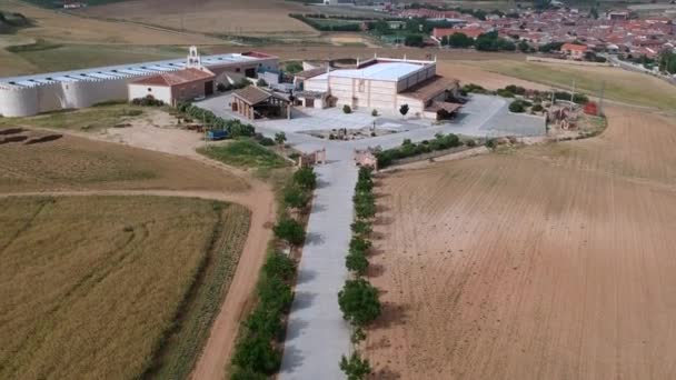 Bodega Gtica Una Empresa Familiar Que Lleva Varias Generaciones Produciendo — Vídeo de stock