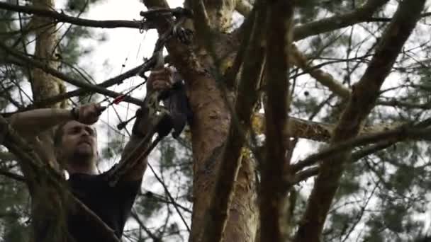 Närbild Bågskytt Uppe Ett Träd Som Siktar Och Skjuter Professionell — Stockvideo