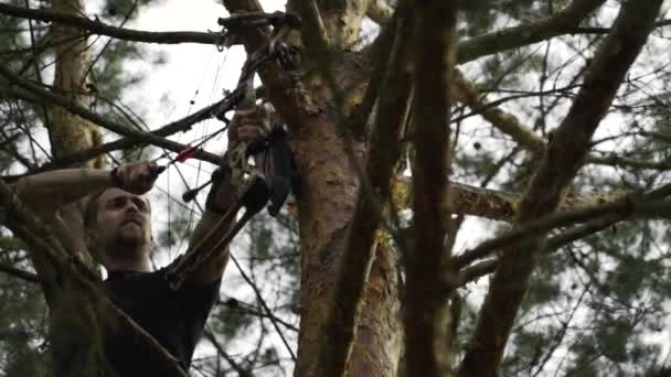 Mișcarea Lentă Unui Arcaș Cocoțat Copac Care Vizează Trage Săgeată — Videoclip de stoc