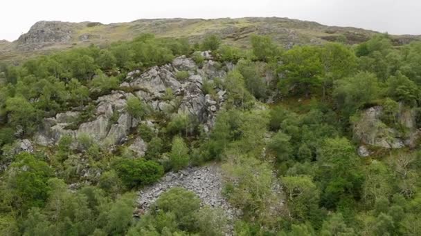 Panoramautsikt Från Båt Vid Fort Augustus Loch Ness Lake Highlands — Stockvideo