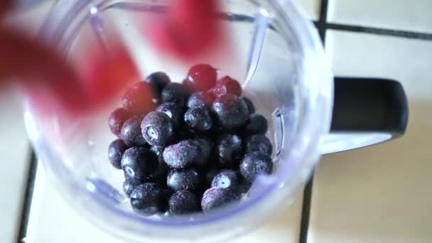 Gefrorene Blaubeeren Und Erdbeeren Den Mixer Gießen Smoothie Oder Fitness — Stockvideo