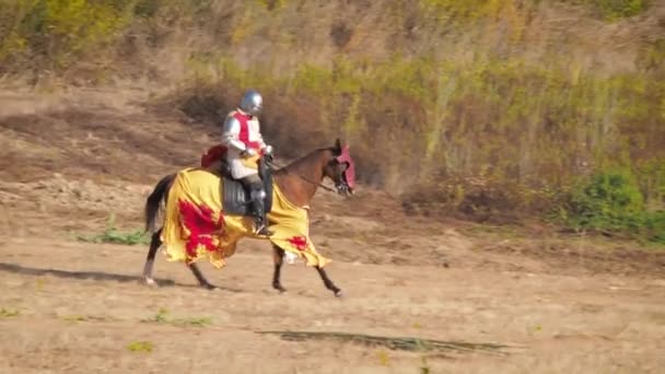 Spanischer Mittelalterlicher Ritter Bereitet Sich Auf Die Schlacht Vor Rekonstruktion — Stockvideo