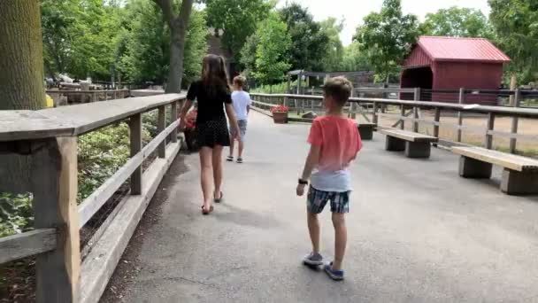 Los Niños Pasan Día Parque Zoológico Mascotas Locales Juntos — Vídeos de Stock