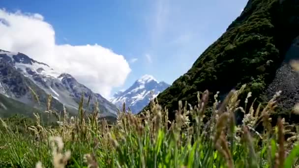 Aoraki Mount Cook Desde Hooker Valley Track Cook National Park — Vídeo de Stock