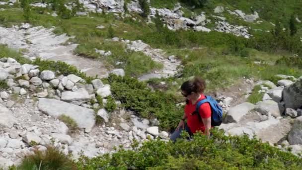 Žena Turistika Krásných Horách Olpererhtte Zillertal Tyrolsko Rakousko — Stock video