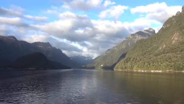 Kreuzfahrt Durch Zweifelhaften Sound Neuseeland — Stockvideo