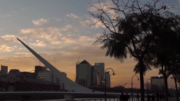 Puente Mujer Arjantin Buenos Aires Şehrinde Puerto Madero — Stok video