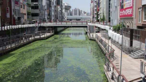 Temmuz Sabahı Osaka Dontonbori Yakınlarındaki Bir Kanalda Bir Gün Önce — Stok video