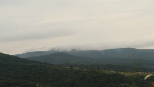 Yağmurdan Sonra Tepenin Üstünde Güzel Bir Sis Bulutu Manzarası — Stok video