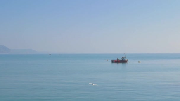 Barco Pesca Pequeno Offshore Com Gaivota Sobrevoar Câmera Lenta — Vídeo de Stock