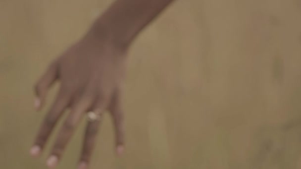 Női Kéz Eljegyzési Gyűrűvel Magas Fűben — Stock videók