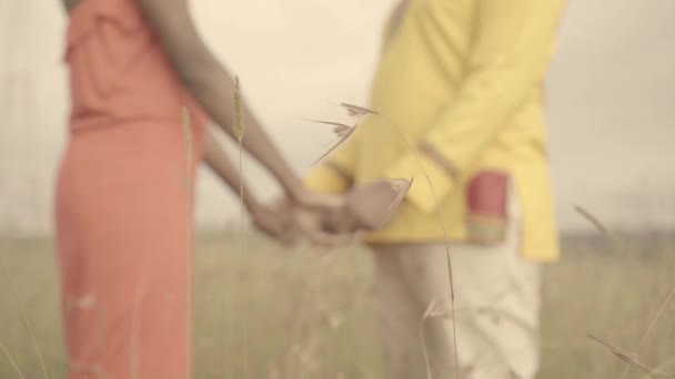 Par Som Håller Varandra Handen Ett Gräsfält — Stockvideo