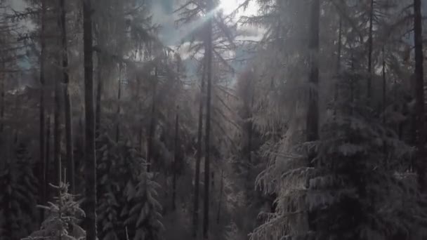 Drone Cinematográfico Filmado Durante Inverno Saviese Valais Suíça — Vídeo de Stock