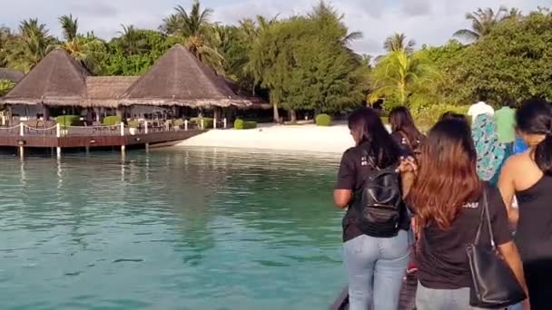 Grupo Turistas Llega Barco Una Isla Privada Las Maldivas Playa — Vídeos de Stock