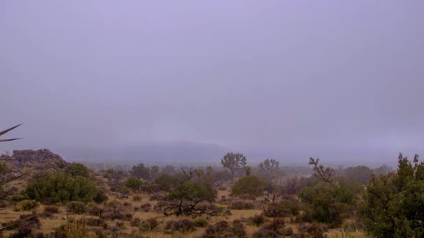 Joshua Tree Ulusal Parkı Nın Zaman Aşımına Uğradı Bulutlar Geliyor — Stok video