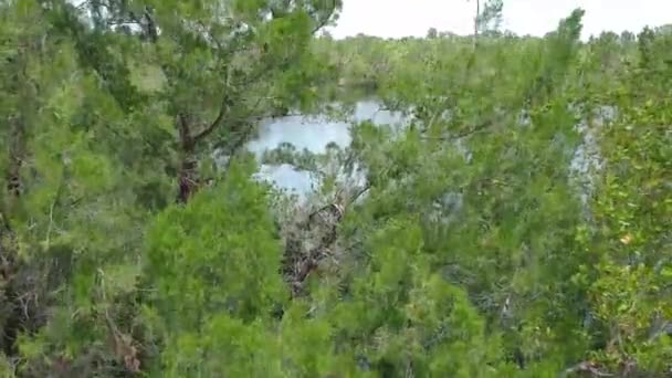 Lone Kayak River Aerial View — Stock video