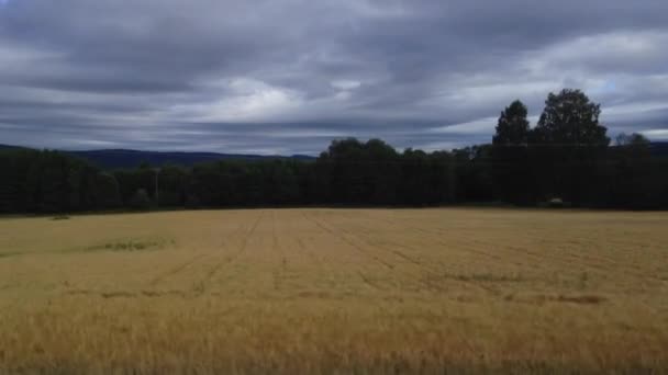 Beautiful Norwegian Countryside Landscape Norway Moving Bus — Stock Video