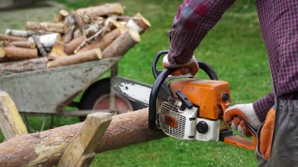 Lumberjack Sawing Tree Log Chain Saw Piece Falling Apart Slow — Stock Video