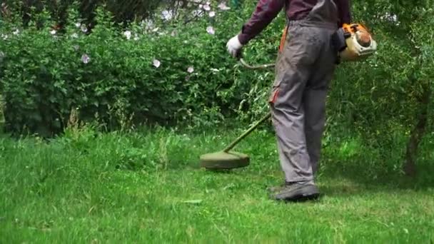 Freischneidemaschine Die Grasunkraut Einem Muster Zerkleinert Das Ein Gärtner Tagsüber — Stockvideo