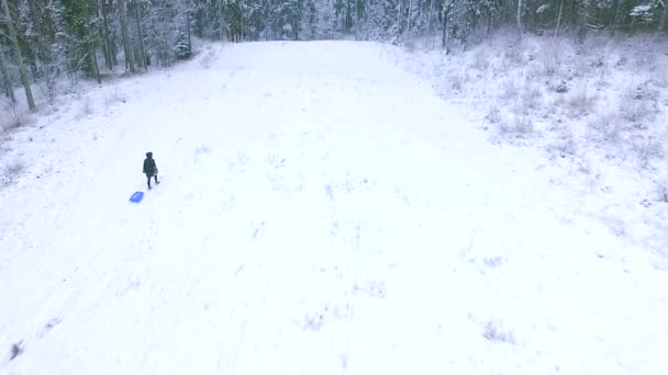 Menina Fica Montanha Nevada Com Trenó Seguida Sorriso Bonito Com — Vídeo de Stock