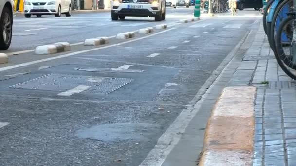Valencia Nın Bisiklet Yolu Bisikletçilerle Dolu — Stok video