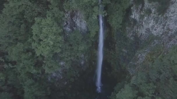 Oszałamiający Wodospad Dochodzący Boku Góry Rodzimym Lesie Nowej Zelandii Zupełnie — Wideo stockowe