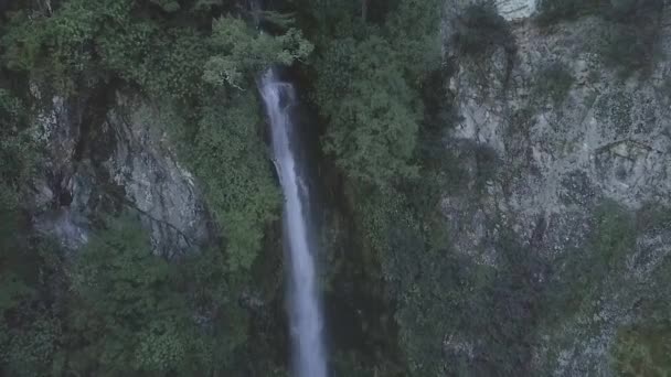 Чудовий Повільний Водоспад Витікає Місцевих Лісів Нової Зеландії Само Лорд — стокове відео