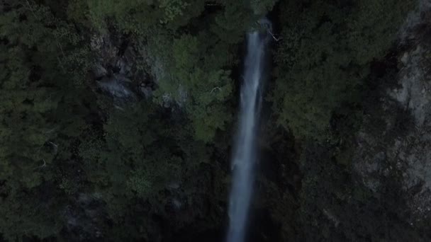 Yeni Zelanda Ormanlarındaki Bir Dağın Yamacından Gelen Bir Şelalenin Akşam — Stok video