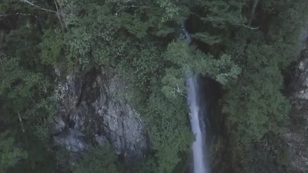 Beautiful Slowmotion Waterfall Coming Out Mountain Forest Lord Rings — ストック動画