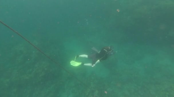 Video Agua Superior Diver Ascendiendo Superficie Durante Viaje Snorkelling Agua — Vídeos de Stock