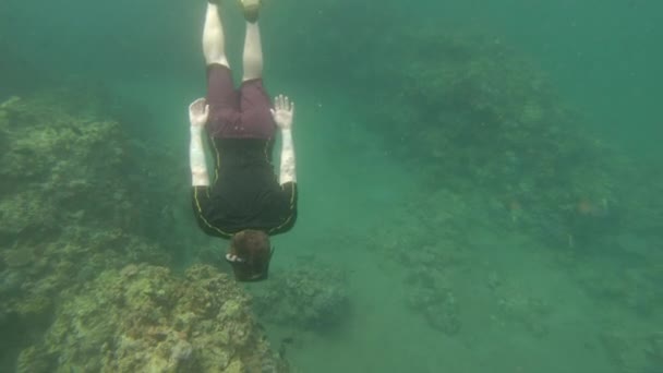 Buceador Nadando Bajo Agua Arrecife Coral — Vídeos de Stock