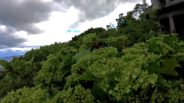 Close Shot Wildlife Hanging Resort Velho Abandonado Assombrado Nas Montanhas — Vídeo de Stock