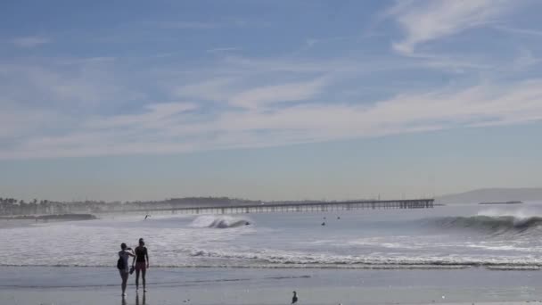 Große Wellen Venice Beach Los Angeles — Stockvideo