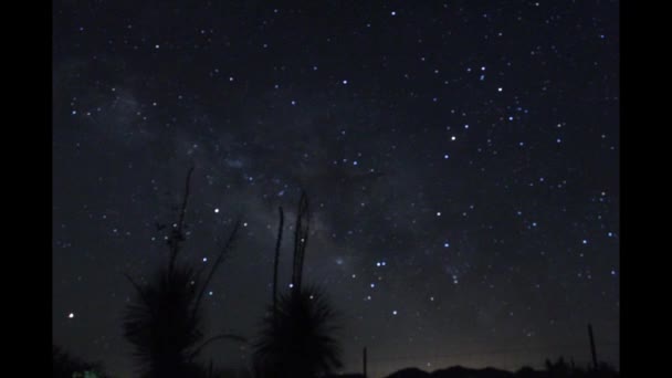 Lapso Tempo Visual Uma Noite Sob Estrelas Onde Você Capaz — Vídeo de Stock
