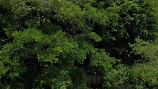 Tir Rapide Drone Piscine Une Vieille Station Abandonnée Hantée Dans — Video