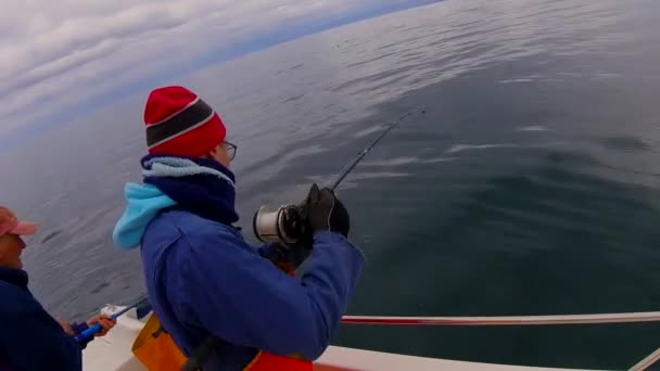 Guy Pescando Océano Islandés — Vídeo de stock