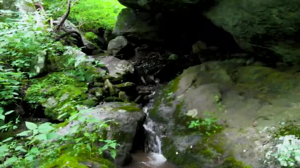 一条平静的小溪划破了岩石形成带着美丽的植物生命和美丽的风景 — 图库视频影像