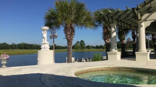 Palmiers Piscine Lac Eaux Calmes Eaux Calmes Herbe Verte Ciel — Video