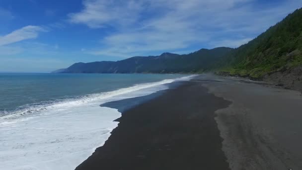 Imagini Aeriene Black Sands Beach Coasta Pierdută Din California Valuri — Videoclip de stoc