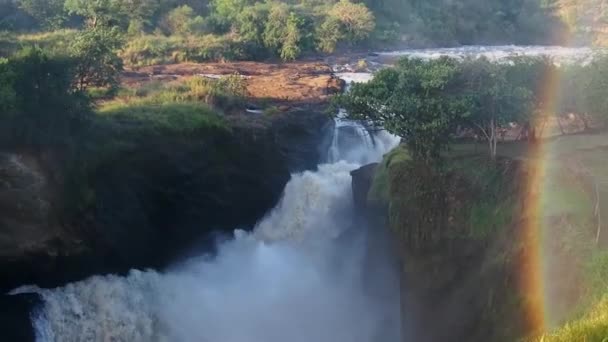 Wieczór Parku Narodowym Murchison Falls Ugandzie Ukazujący Tęczę Powstałą Wyniku — Wideo stockowe